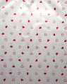 50 Emb. Transp. p/ Presente 20cm x 29cm - Sortidos